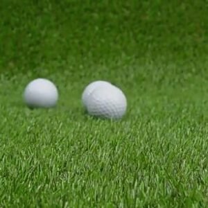 ゴルフ練習用ボール 10個セット ゴルフボール パター 室内ダブルゴルフ用品